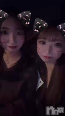 🐱