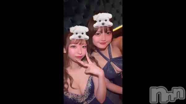 911 2017ʬΥ֥