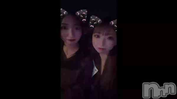 &#x1F431;