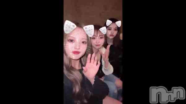 &#x1F431;