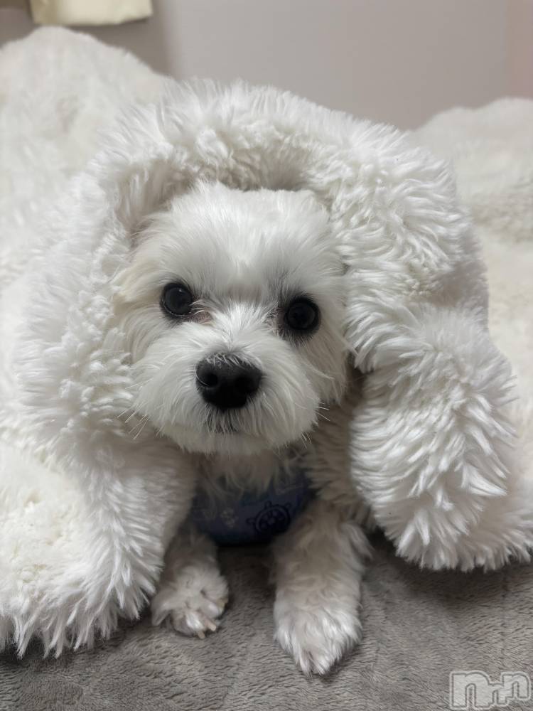 ƲХ顦clubTiara(ƥ) 414̥֥🐶