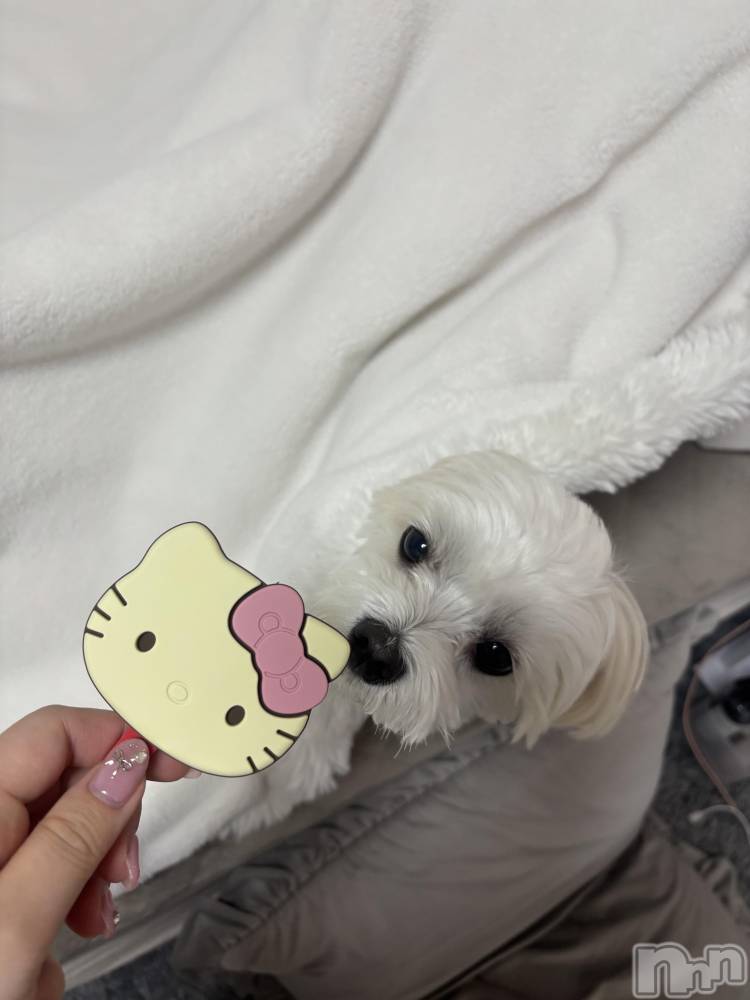 ƲХ顦clubTiara(ƥ) 421̥֥🤍