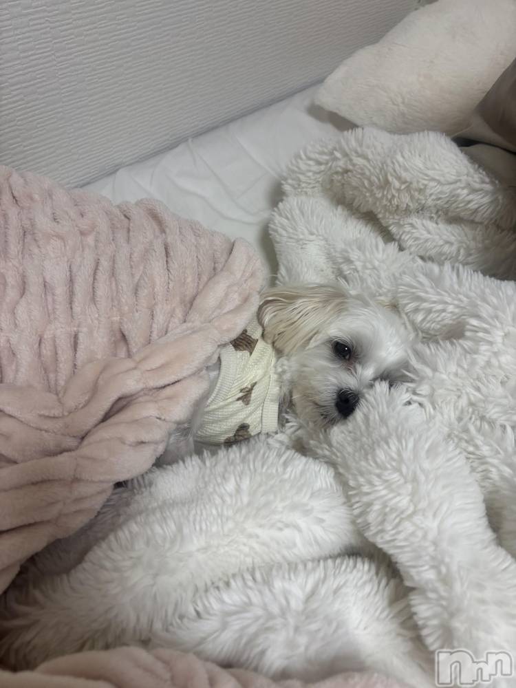 ƲХ顦clubTiara(ƥ) 1113̥֥🤍