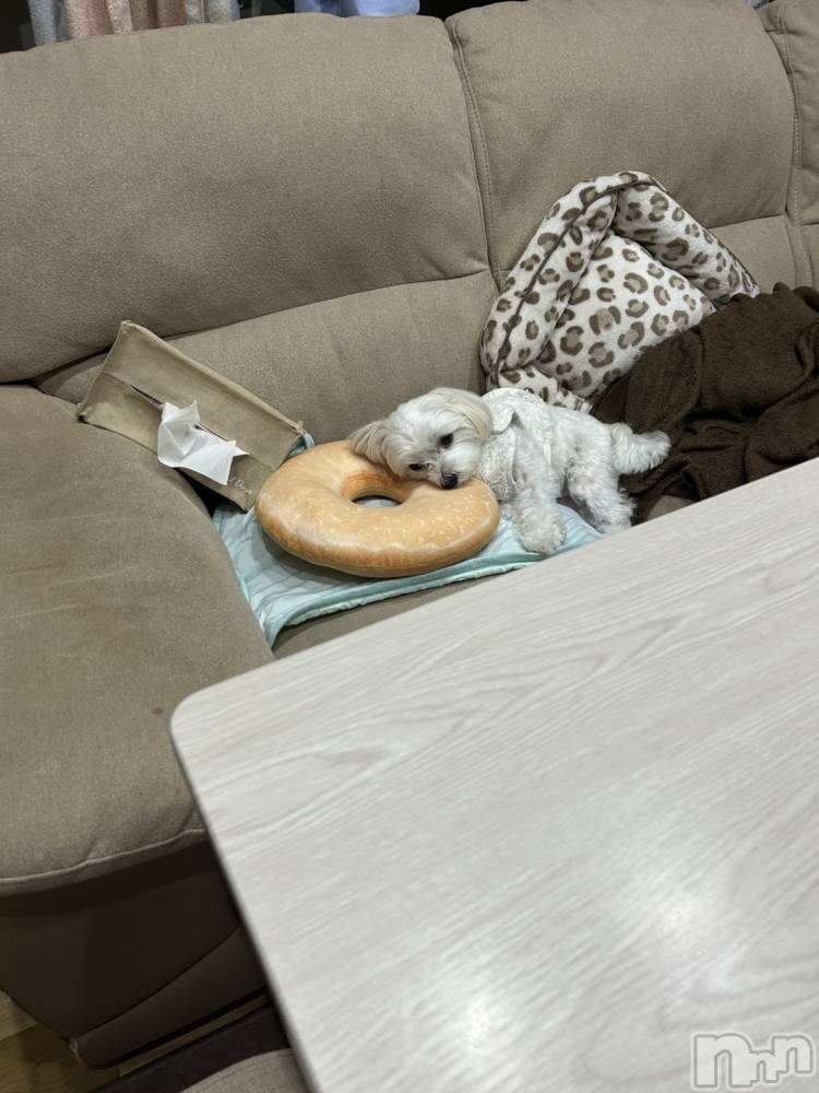 ƲХ顦clubTiara(ƥ) 1120̥֥🤍