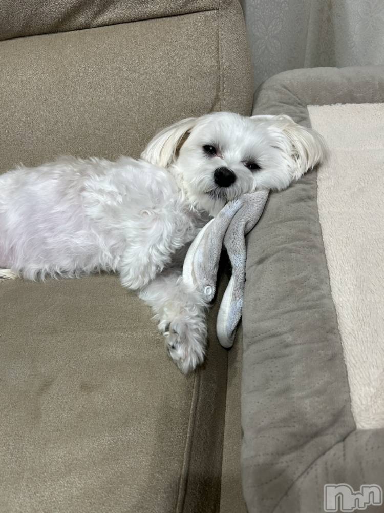 ƲХ顦clubTiara(ƥ) 1121̥֥🤍