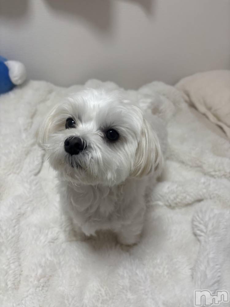 ƲХ顦clubTiara(ƥ) 124̥֥🤍