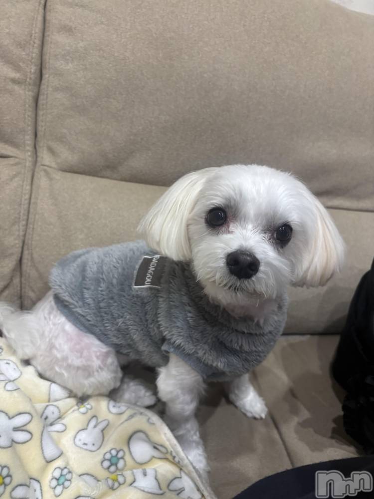 ��Ʋ����Х��顦�����clubTiara(�ƥ�����) ������12��11���̥�֥�����🤍��