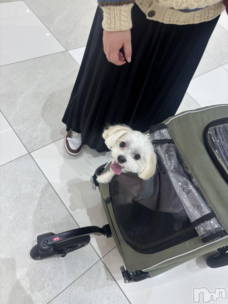 ��Ʋ����Х��顦�����clubTiara(�ƥ�����) ������12��18���̥�֥�����🤍��