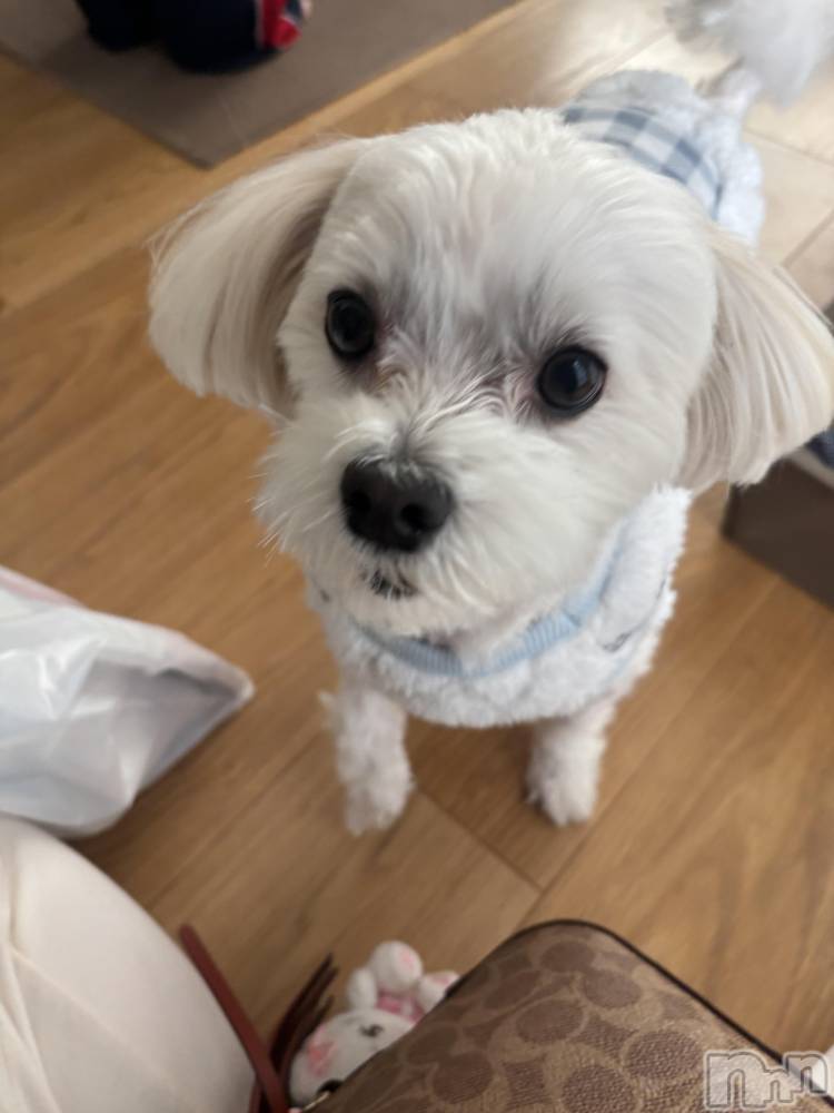 ��Ʋ����Х��顦�����clubTiara(�ƥ�����) ������12��19���̥�֥�����🤍��