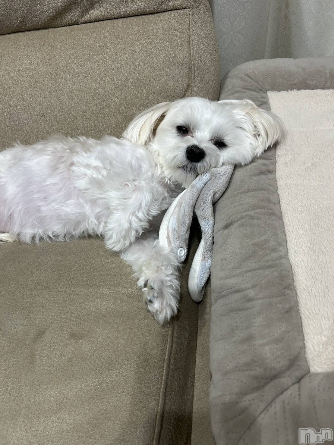 ƲХ顦clubTiara(ƥ) 2025ǯ1121̥֥🤍