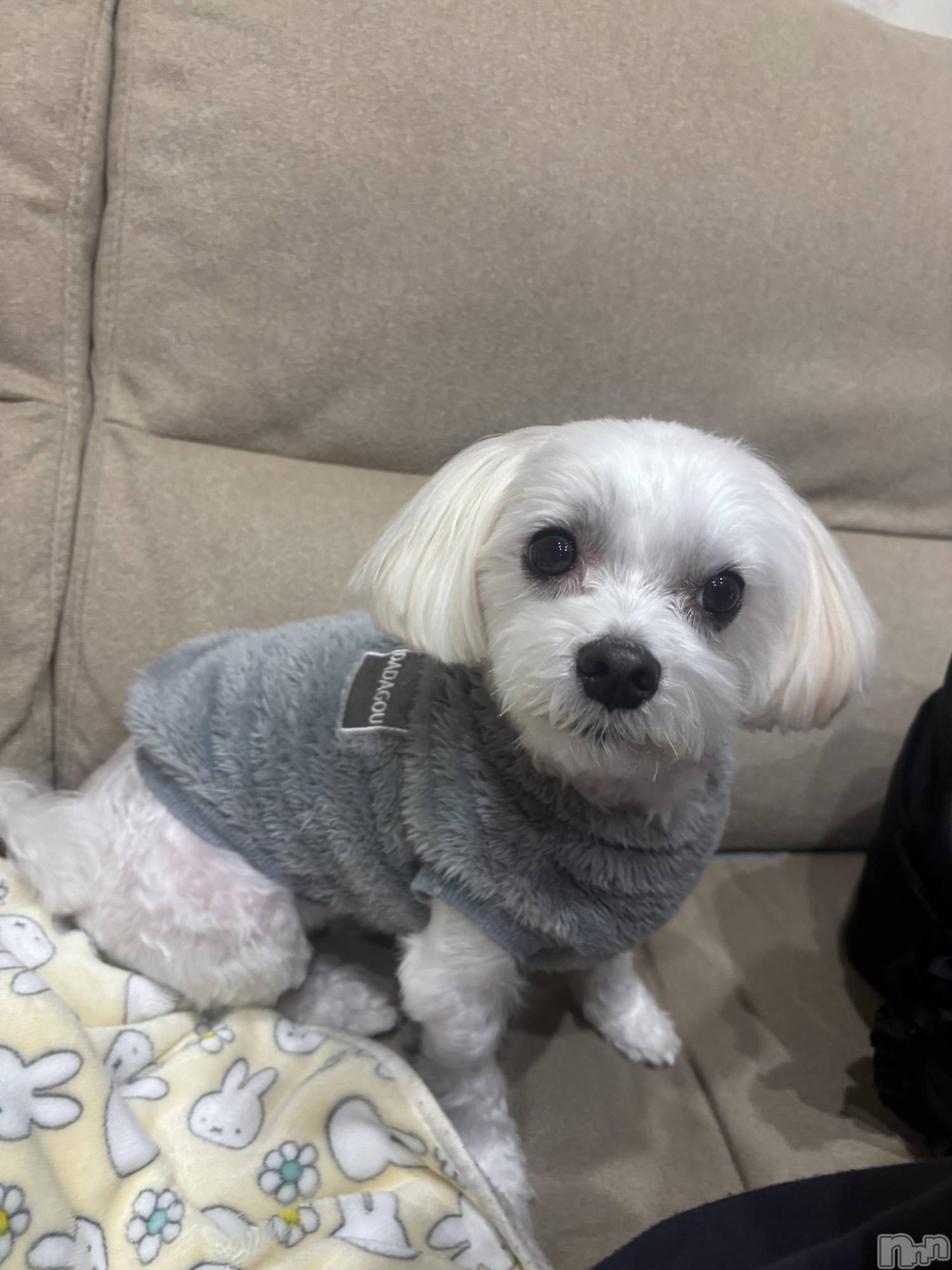 ƲХ顦clubTiara(ƥ) 2025ǯ1211̥֥🤍