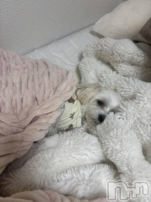 ƲХ顦clubTiara(ƥ) (26)1113̥֥🤍