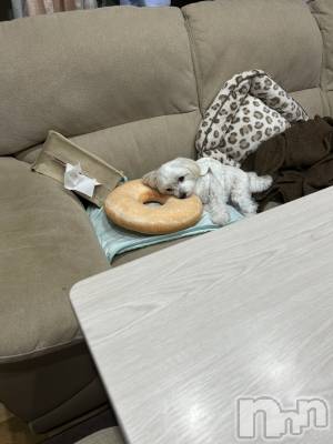 ƲХ顦clubTiara(ƥ) (26)1120̥֥🤍