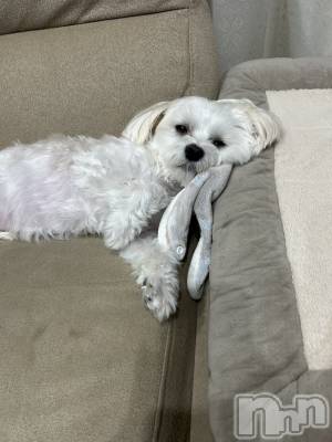 ƲХ顦clubTiara(ƥ) (26)1121̥֥🤍