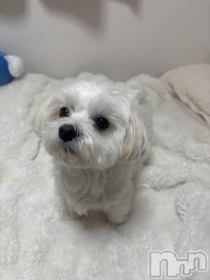 ƲХ顦clubTiara(ƥ) (26)124̥֥🤍