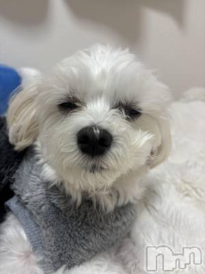 ƲХ顦clubTiara(ƥ) (26)126̥֥🤍