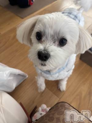 ��Ʋ����Х��顦�����clubTiara(�ƥ�����) ����(26)��12��19���̥�֥�����🤍��