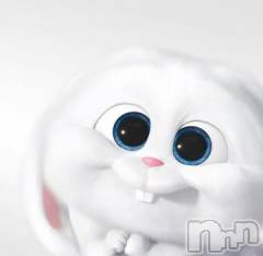 長岡デリヘル奥様特急 長岡店(オクサマトッキュウナガオカテン) くおり(20)の3月20日写メブログ「🥺🥺」