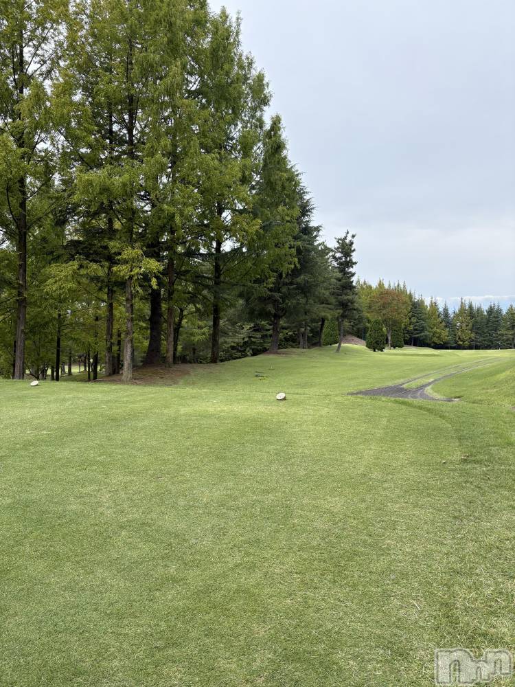 ȯѥ˥󥯥ֿ㥳ѥ˥󥯥ֲ(˥ѥ˥󥯥֥ϥʥ) 륯ޥޤ1022̥֥ľ