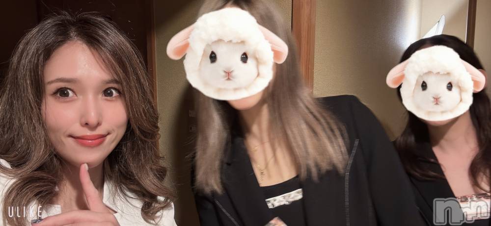 ȯѥ˥󥯥ֿ㥳ѥ˥󥯥ֲ(˥ѥ˥󥯥֥ϥʥ) 륯ޥޤ113̥֥֤ܤޥ