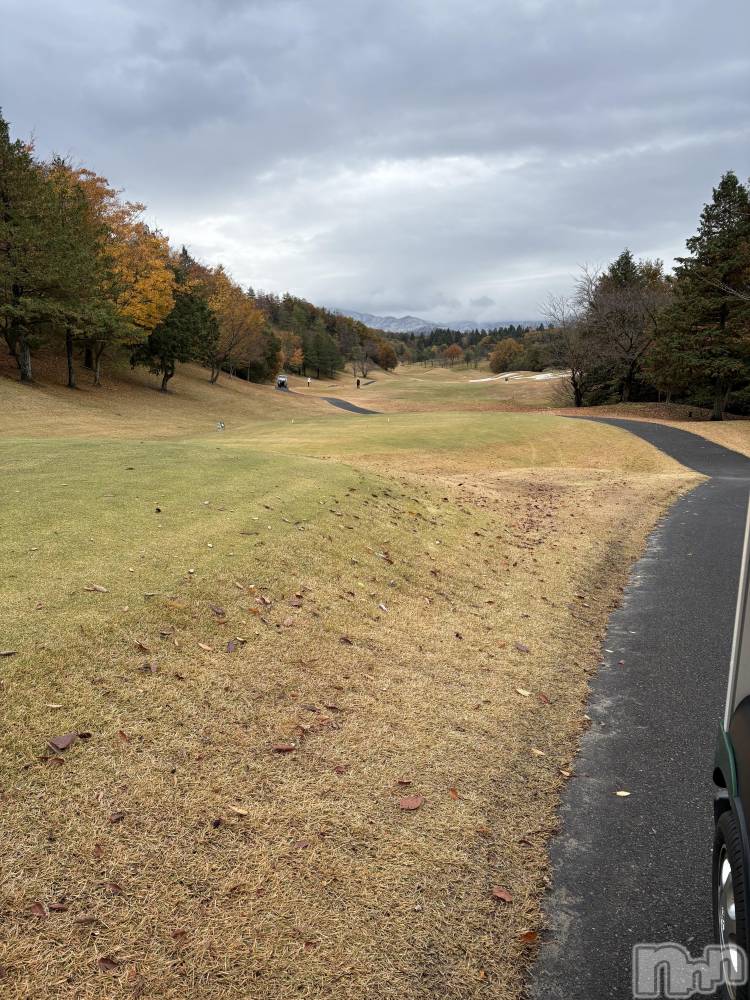 ȯѥ˥󥯥ֿ㥳ѥ˥󥯥ֲ(˥ѥ˥󥯥֥ϥʥ) 륯ޥޤ1119ִ̥֥