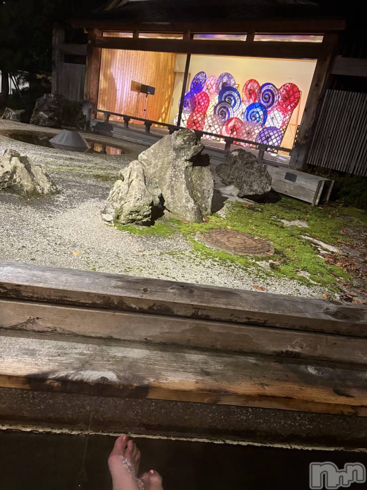 ȯѥ˥󥯥ֿ㥳ѥ˥󥯥ֲ(˥ѥ˥󥯥֥ϥʥ) 륯ޥޤ1124ֺ̥֥ǹ