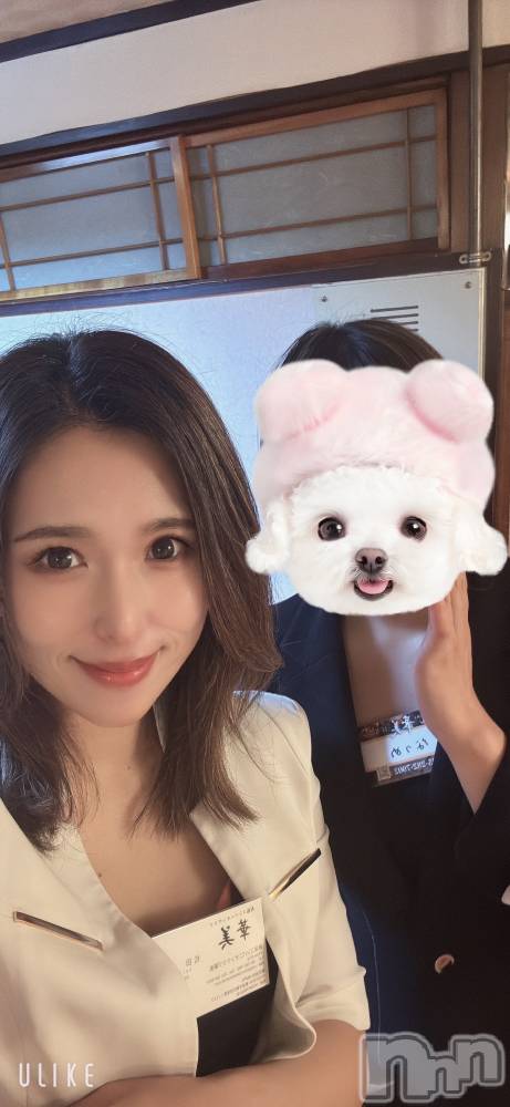 ȯѥ˥󥯥ֿ㥳ѥ˥󥯥ֲ(˥ѥ˥󥯥֥ϥʥ) 륯ޥޤ1128ֿ̥֥ͤ