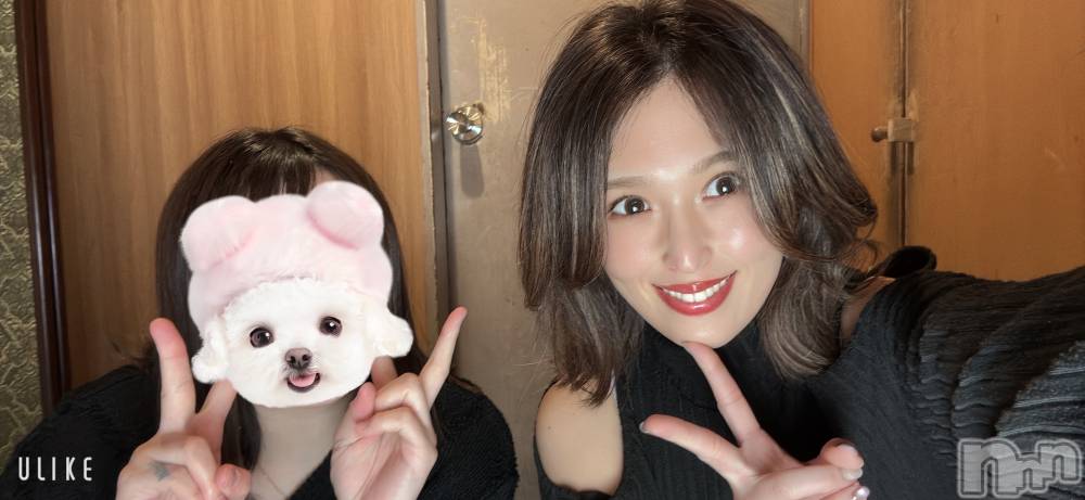 ����ȯ����ѥ˥��󥯥�ֿ��㥳��ѥ˥��󥯥�ֲ���(�˥���������ѥ˥��󥯥�֥ϥʥ�) �椦�ߤ�1��17���̥�֥����֥�ԡ������͡�