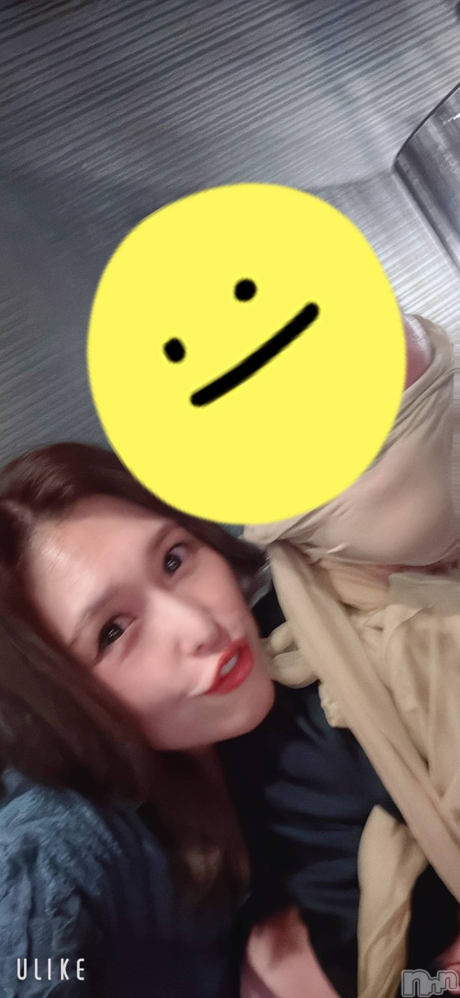 ȯѥ˥󥯥ֿ㥳ѥ˥󥯥ֲ(˥ѥ˥󥯥֥ϥʥ) 2025ǯ222̥֥֥ޥե顼