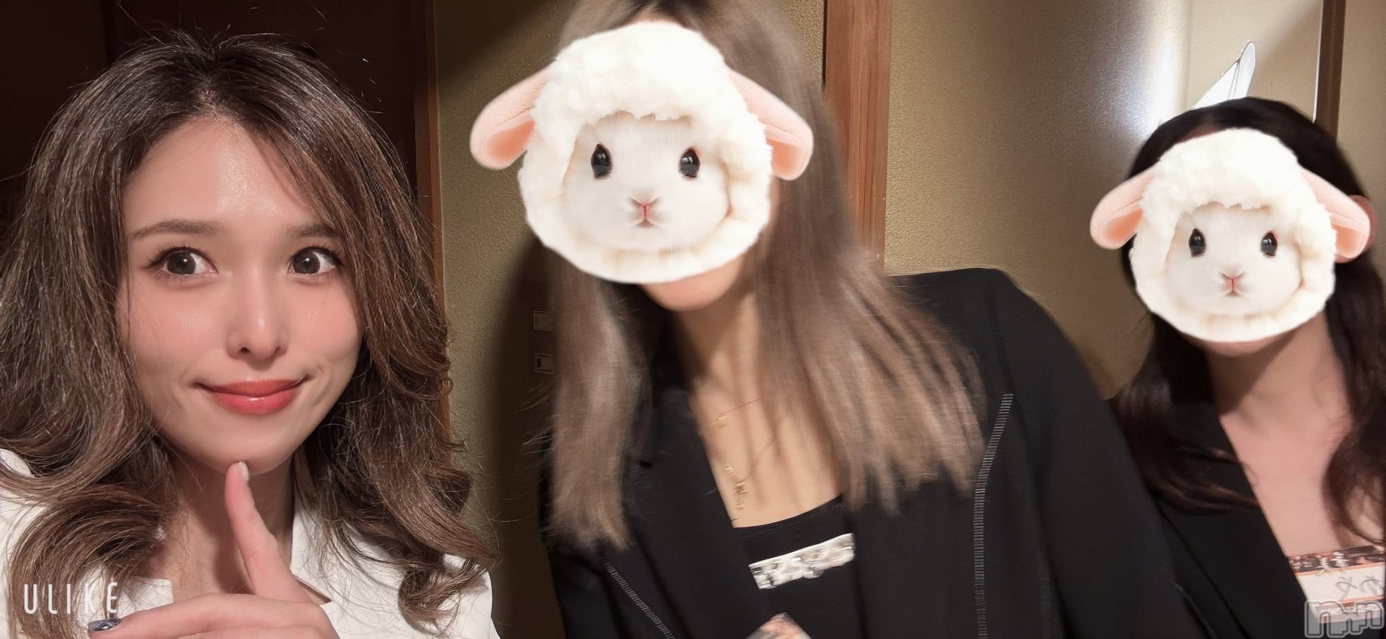 ȯѥ˥󥯥ֿ㥳ѥ˥󥯥ֲ(˥ѥ˥󥯥֥ϥʥ) 2025ǯ113̥֥֤ܤޥ