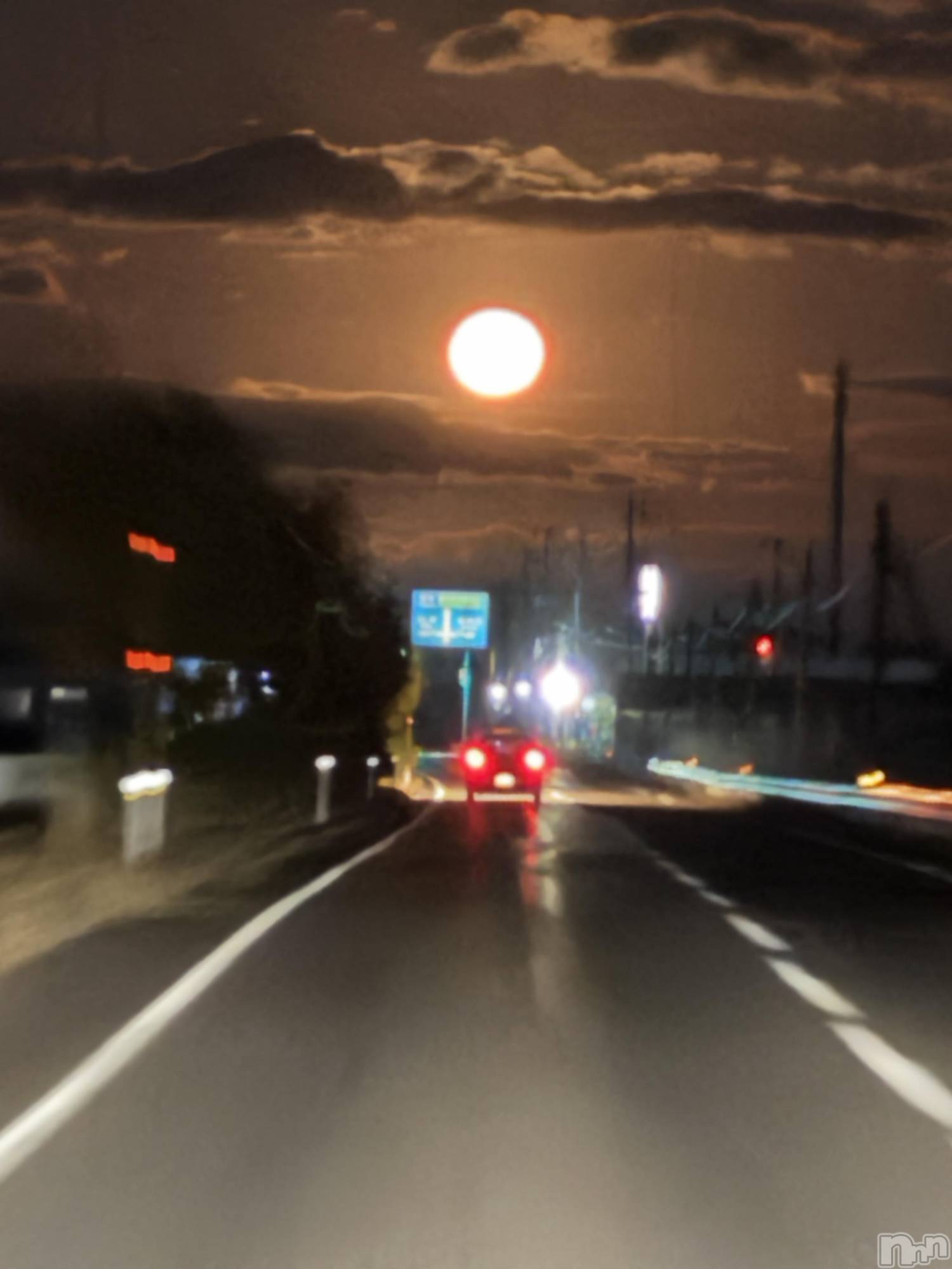 ȯѥ˥󥯥ֿ㥳ѥ˥󥯥ֲ(˥ѥ˥󥯥֥ϥʥ) 2025ǯ115ַ̥֥