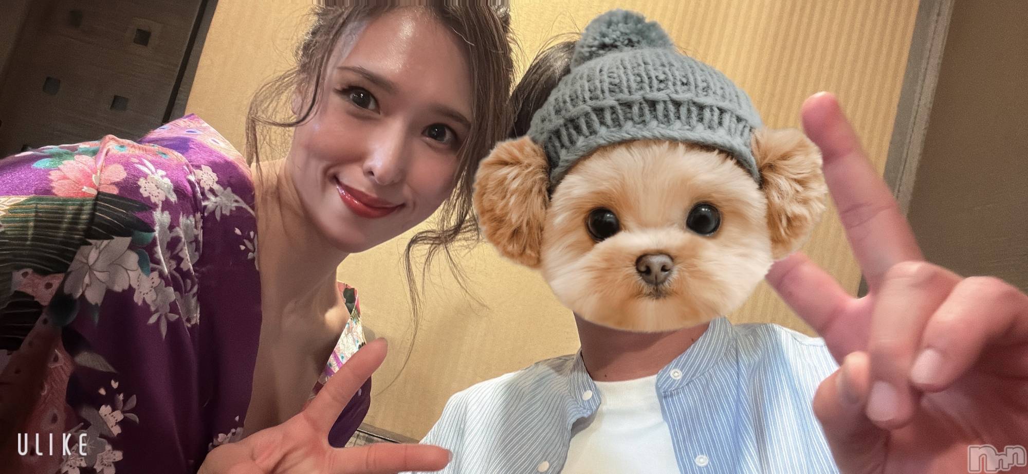 ȯѥ˥󥯥ֿ㥳ѥ˥󥯥ֲ(˥ѥ˥󥯥֥ϥʥ) 2025ǯ118̥֥֤ޤȤ