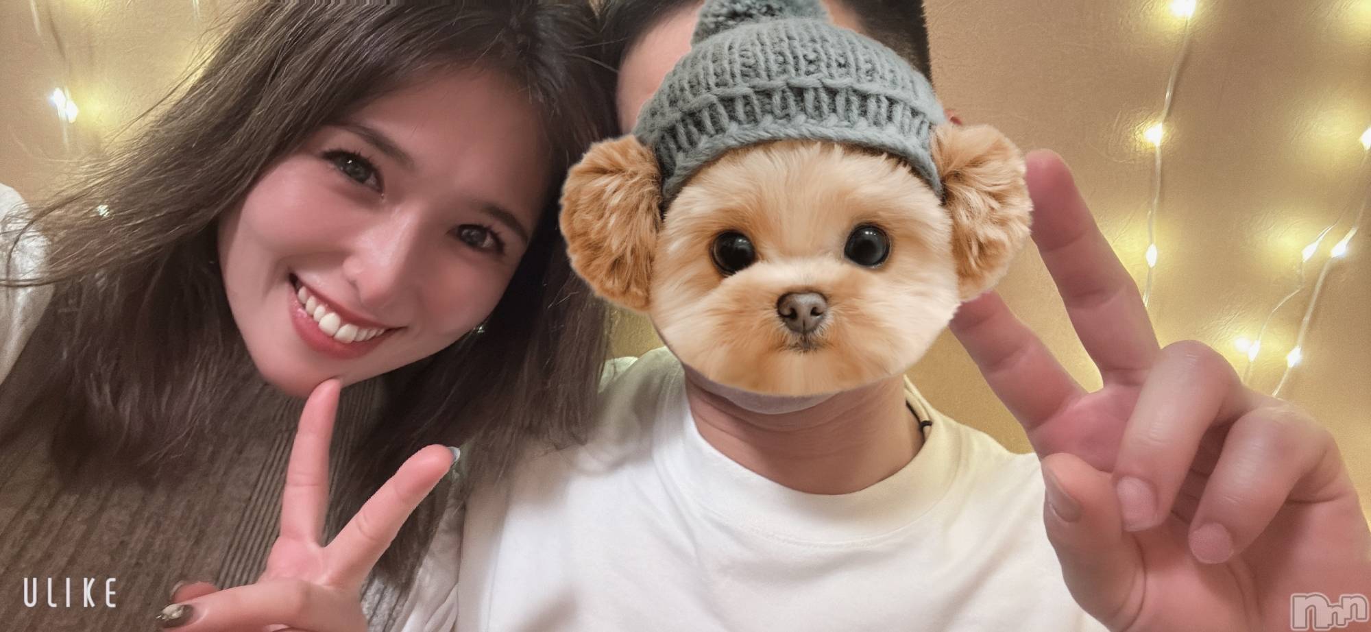 ȯѥ˥󥯥ֿ㥳ѥ˥󥯥ֲ(˥ѥ˥󥯥֥ϥʥ) 2025ǯ1111̥֥1ǯ֤