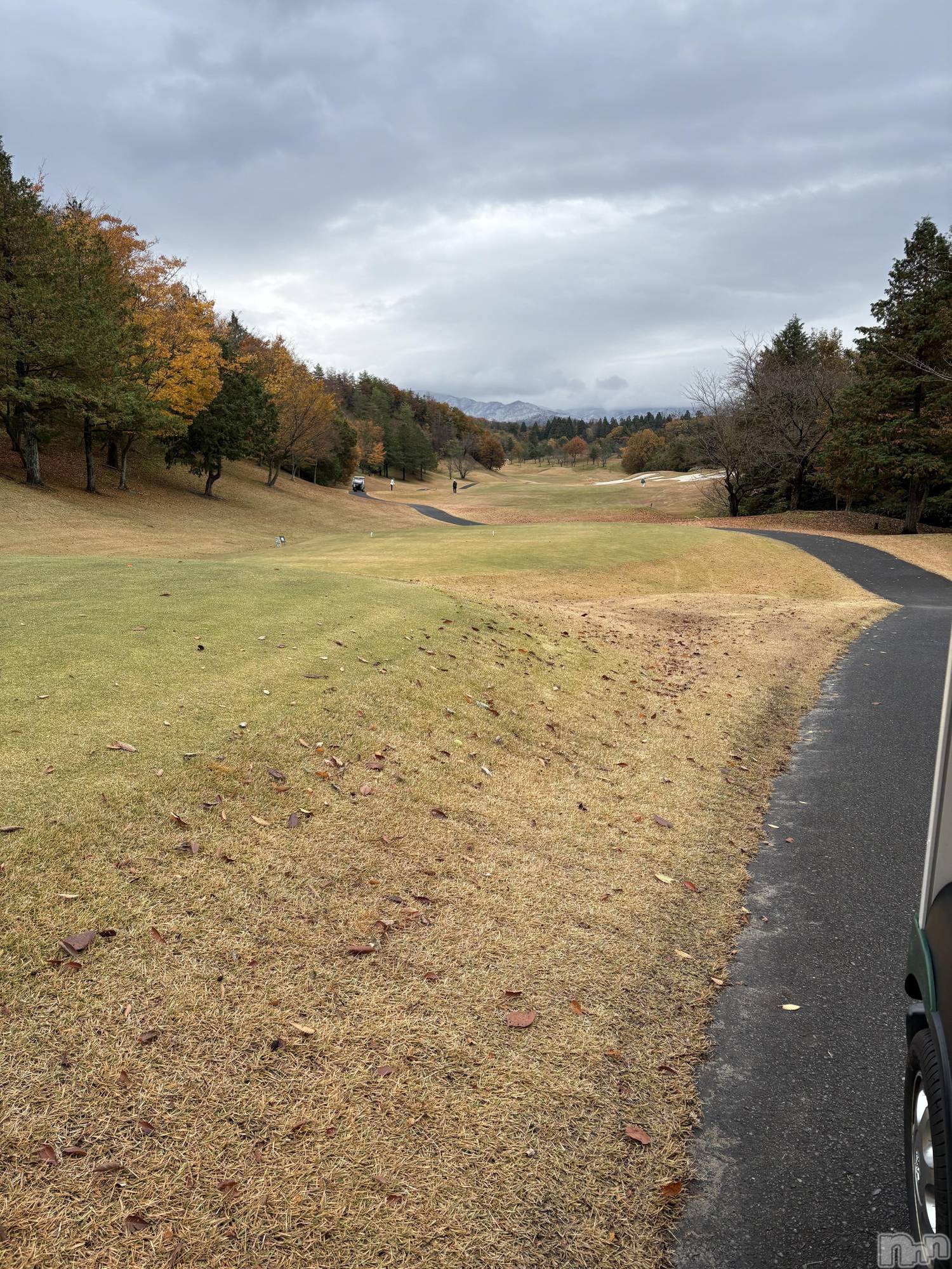 ȯѥ˥󥯥ֿ㥳ѥ˥󥯥ֲ(˥ѥ˥󥯥֥ϥʥ) 2025ǯ1119ִ̥֥