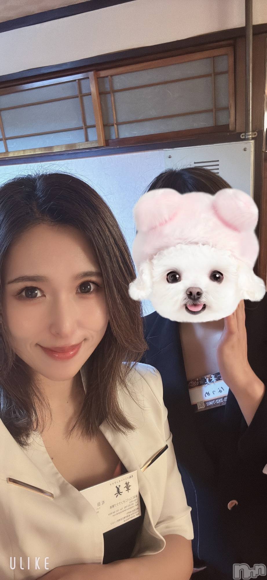 ȯѥ˥󥯥ֿ㥳ѥ˥󥯥ֲ(˥ѥ˥󥯥֥ϥʥ) 2025ǯ1128ֿ̥֥ͤ