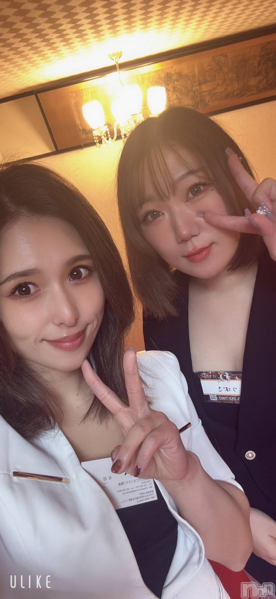 ȯѥ˥󥯥ֿ㥳ѥ˥󥯥ֲ(˥ѥ˥󥯥֥ϥʥ) 2025ǯ122̥֥