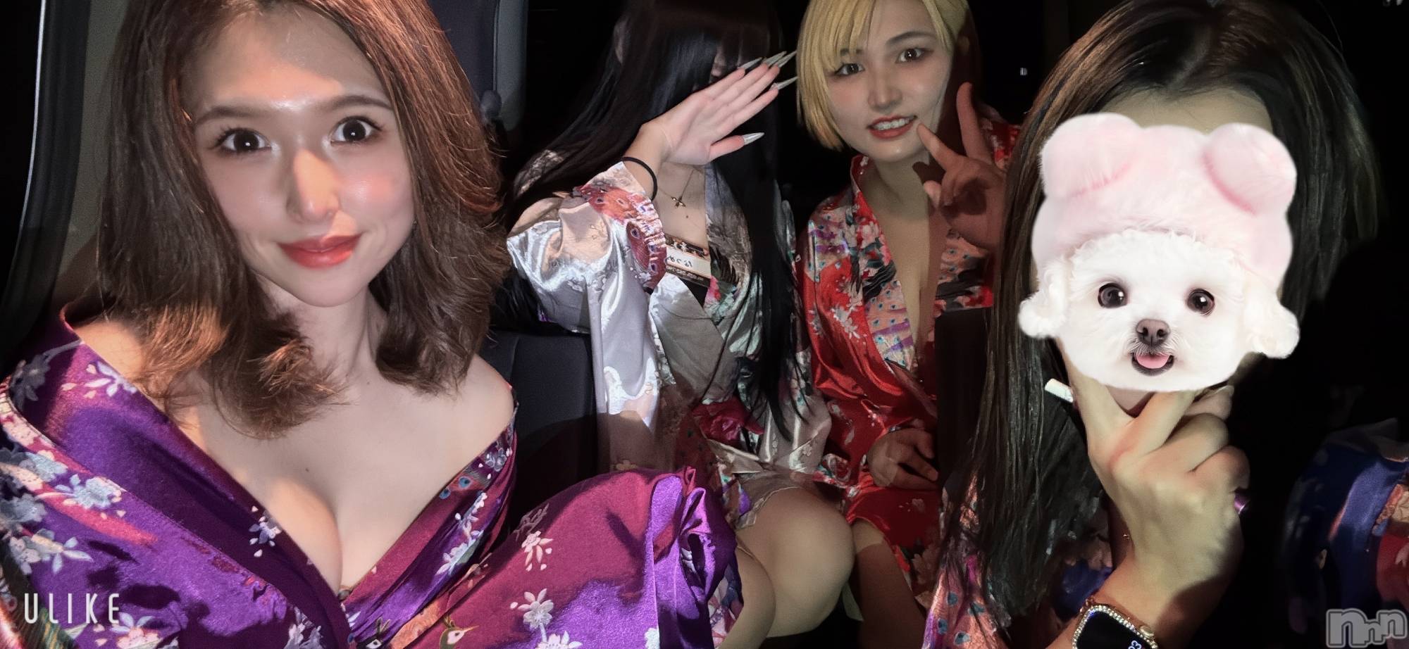 ȯѥ˥󥯥ֿ㥳ѥ˥󥯥ֲ(˥ѥ˥󥯥֥ϥʥ) 2025ǯ125ִ̥֥