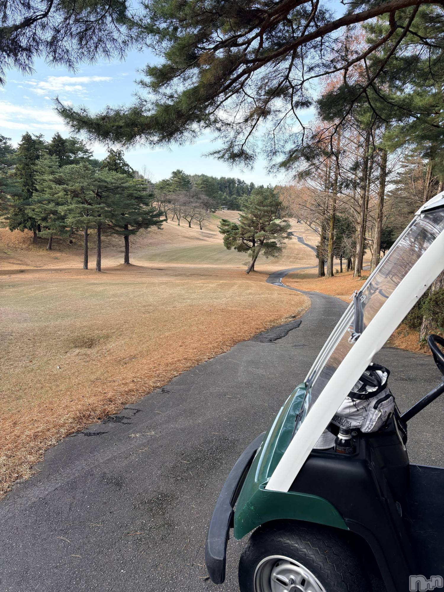 ȯѥ˥󥯥ֿ㥳ѥ˥󥯥ֲ(˥ѥ˥󥯥֥ϥʥ) 2025ǯ1211̥֥֥饹ȡ