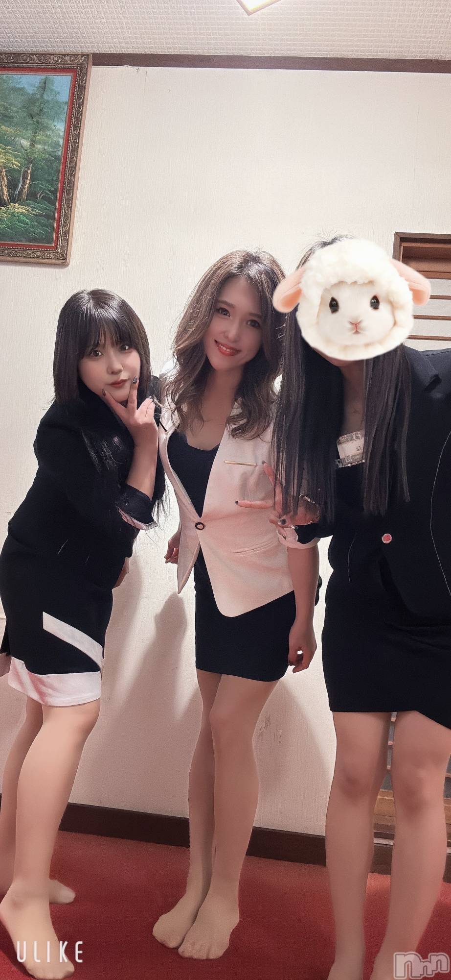 ȯѥ˥󥯥ֿ㥳ѥ˥󥯥ֲ(˥ѥ˥󥯥֥ϥʥ) 2025ǯ1213̥֥ۤ