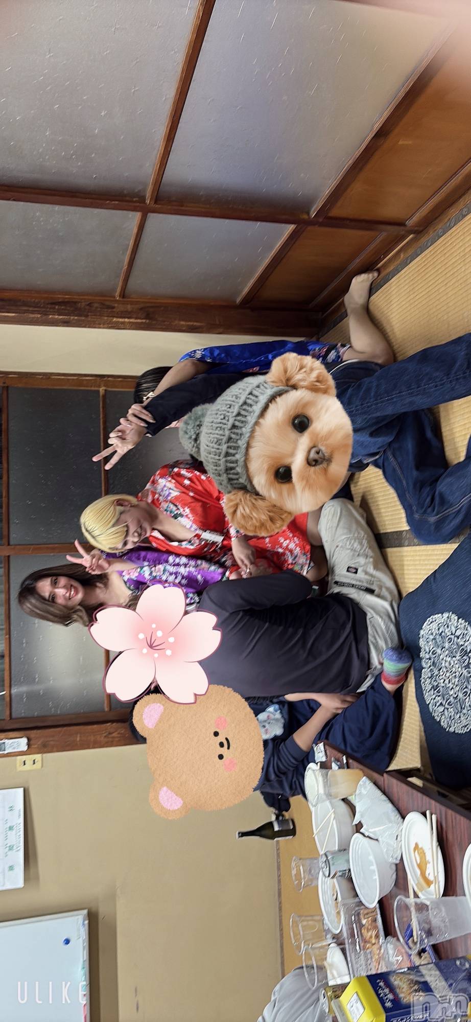 ����ȯ����ѥ˥��󥯥�ֿ��㥳��ѥ˥��󥯥�ֲ���(�˥���������ѥ˥��󥯥�֥ϥʥ�) ��2025ǯ12��25���̥�֥����֤��꤬�Ȥ��������ޤ���✨��