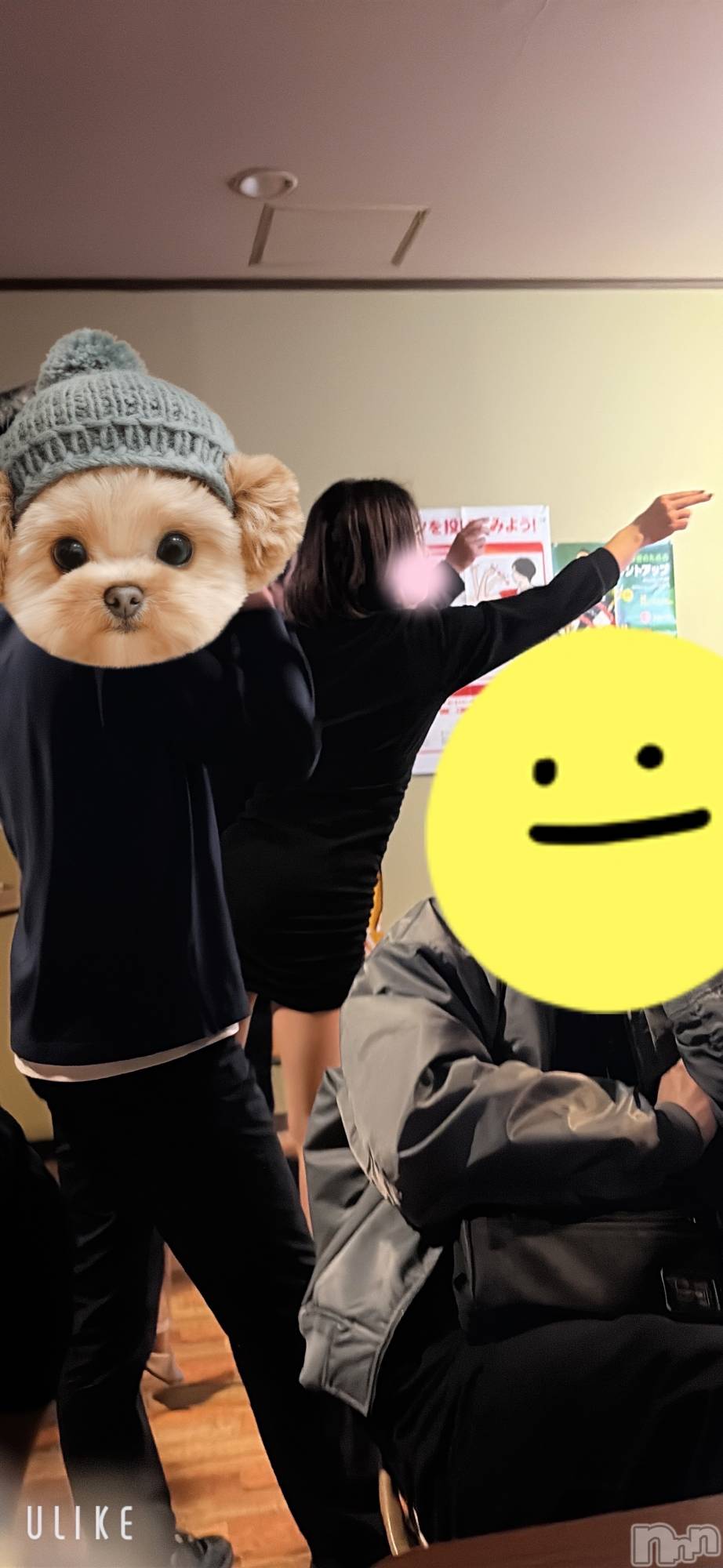 ����ȯ����ѥ˥��󥯥�ֿ��㥳��ѥ˥��󥯥�ֲ���(�˥���������ѥ˥��󥯥�֥ϥʥ�) ��2026ǯ1��6���̥�֥����֤ɤ䡪��