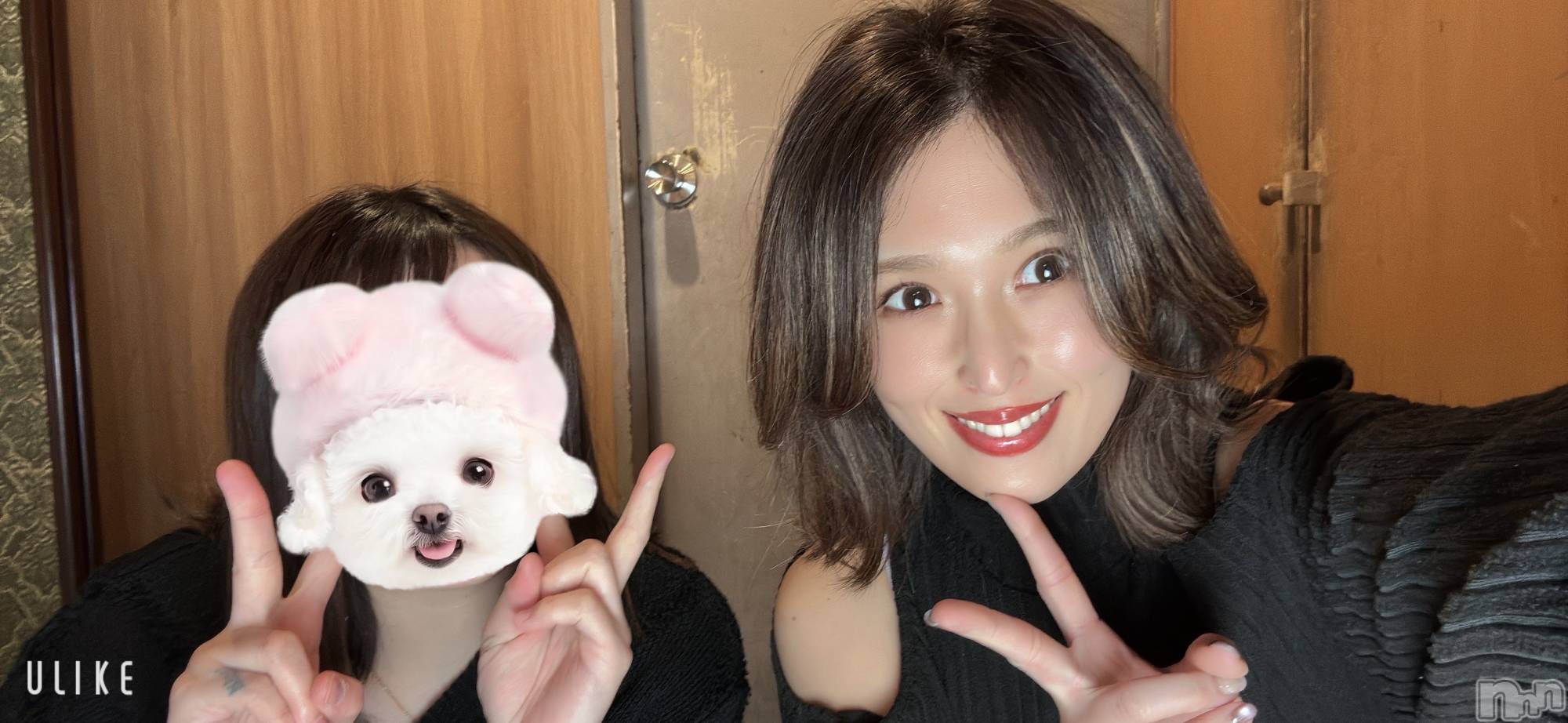 ����ȯ����ѥ˥��󥯥�ֿ��㥳��ѥ˥��󥯥�ֲ���(�˥���������ѥ˥��󥯥�֥ϥʥ�) ��2026ǯ1��17���̥�֥����֥�ԡ������͡�