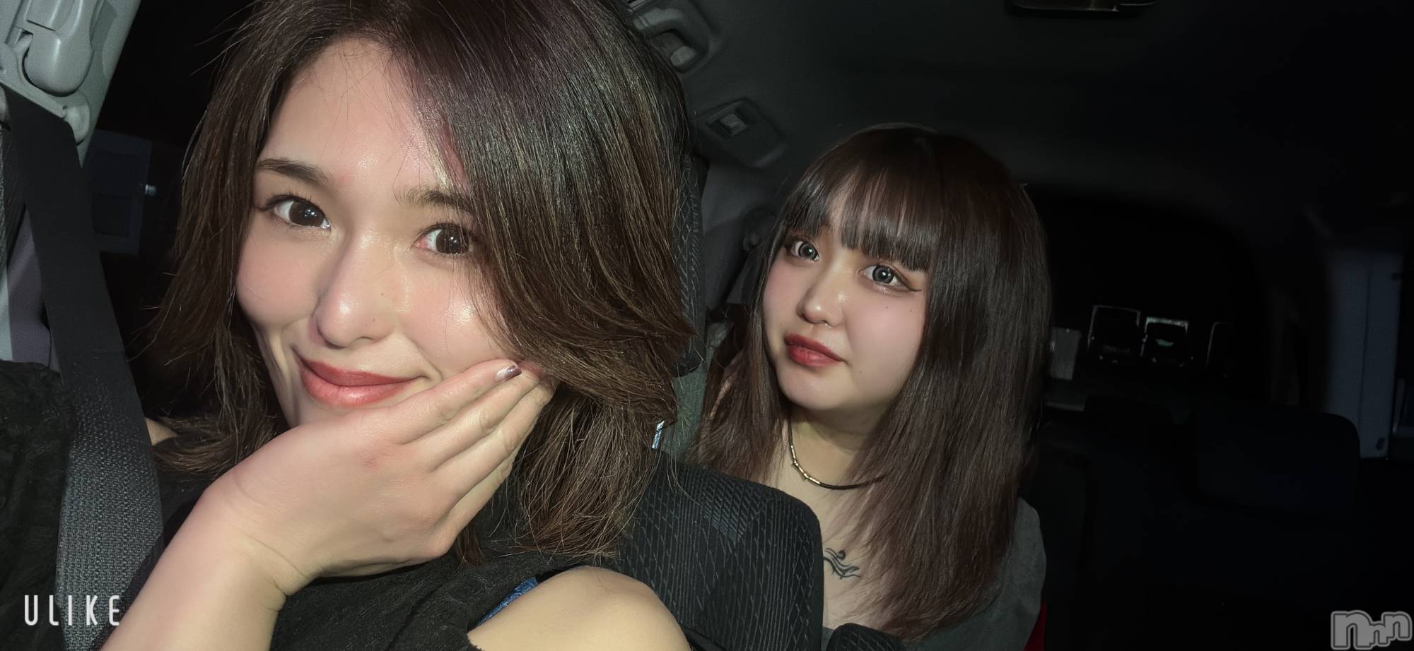 ����ȯ����ѥ˥��󥯥�ֿ��㥳��ѥ˥��󥯥�ֲ���(�˥���������ѥ˥��󥯥�֥ϥʥ�) ��2026ǯ1��20���̥�֥����֤��פ��֤��