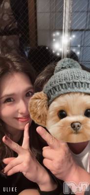 ȯѥ˥󥯥ֿ㥳ѥ˥󥯥ֲ(˥ѥ˥󥯥֥ϥʥ) 륯ޥ(33)1020̥֥