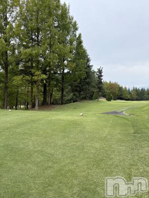 ȯѥ˥󥯥ֿ㥳ѥ˥󥯥ֲ(˥ѥ˥󥯥֥ϥʥ) 륯ޥ(33)1022̥֥ľ