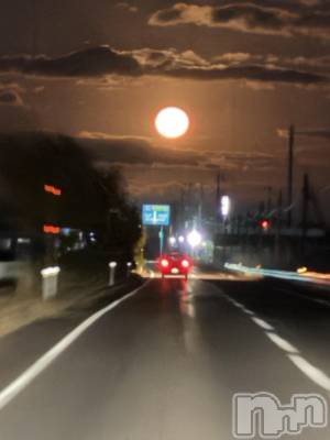 ȯѥ˥󥯥ֿ㥳ѥ˥󥯥ֲ(˥ѥ˥󥯥֥ϥʥ) 륯ޥ(33)115ַ̥֥