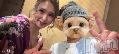 ȯѥ˥󥯥ֿ㥳ѥ˥󥯥ֲ(˥ѥ˥󥯥֥ϥʥ) 륯ޥ(33)118̥֥֤ޤȤ