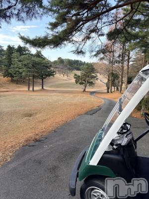 ����ȯ����ѥ˥��󥯥�ֿ��㥳��ѥ˥��󥯥�ֲ���(�˥���������ѥ˥��󥯥�֥ϥʥ�) ���륯�ޥ�(33)��12��11���̥�֥����֥饹�ȡ���