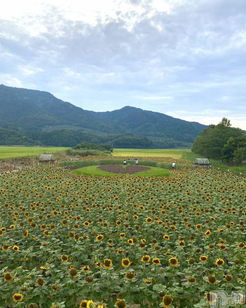 Х顦Souffle NIIGATA(ե˥) ɱ831̥֥🧡🌻Ȫ👒🧡