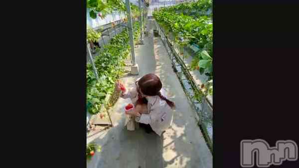 Ƥˤ&#x1F353;&#x2764;&#xFE0F;